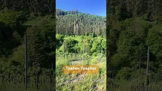 11 мая 2025 г.