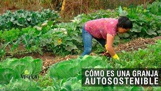 Cómo es una granja autosostenible- TvAgro por Juan Gonzalo Angel Restrepo