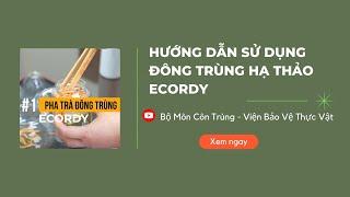 Hướng dẫn sử dụng đông trùng hạ thảo Ecordy Viện Bảo vệ thực vật | Bộ môn Côn trùng và Tuyến trùng