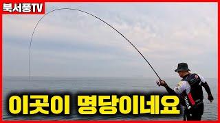 아무도 없는섬 물반 고기반 #벵에돔 #낚시