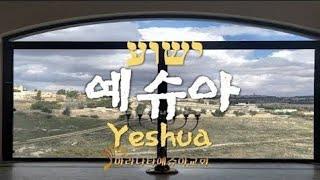 YESHUA ישוע/Hebrew Woship/cover by Lee Elisheva/