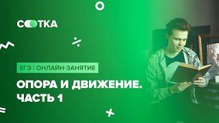 Опора и движение | ОГЭ БИОЛОГИЯ 2020 | Онлайн-школа СОТКА