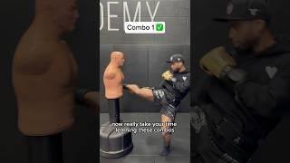 3 beginner kickboxing combos