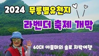 60대솔로차박여행 |강원도 동해 라벤더축제개막  | 6월꼭 가볼만한 여행지 |도째비골| 논골담길ㅣ스타렉스캠핑카