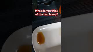 Which is fake honey? #honey #realhoney #honeycomb