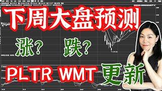 美股分析赚钱：这周大盘洗盘，下周涨跌预测。热门股票PLTR、WMT更新点评