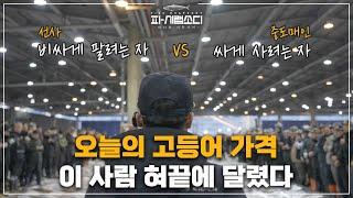 Fish Market Auction Principles | Busan Fish Market | Fish Rhapsody | EP.5 Fish Market Auction