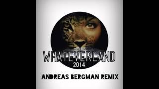 Dudeman - Whateverland 2014 (Andreas Bergman Remix)