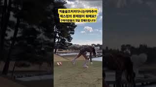 골프 선배님들의 조언을 부탁드려요! 아마추어스윙 #골프팁 #골프스윙 #골프레슨 #shorts #golf