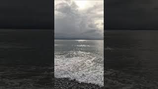 Pebbles rolling in the surf #shorts #relaxingsounds #sanjuanisland #travel #beach