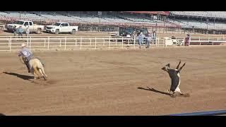 Steer Roping Preliminary...2023 Cheyenne