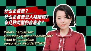 什么是自恋?主要有哪几种类型?什么是自恋型人格障碍?What’s Narcissism? How many type? What’s NPD?#爱丽丝的奇妙世界 #自恋型人格障碍 #自恋型人格#心理学