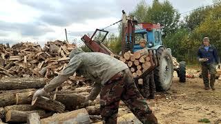 РАБОТАЕМ НА ДРОВАХ. Пилим и Колем Дуб ДРОВОКОЛОМ