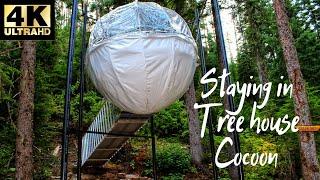 Treehouse Cocoon at Glacier National Park Montana | Clear Sky Resorts