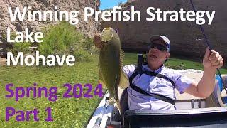 Mastering Lake Mohave: Unveiling Joe Michels' Winning Prefish Strategy - Part 1 #bassfishingarizona