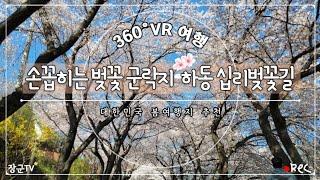 [360° VR 여행] 대한민국 봄여행 추천지! 경남 하동 십리벚꽃길  [Insta360 ONE X2]