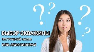 ДВЕ СКВАЖИНЫ.СРАВНЕНИЕ.АБИССИНКА И ПОГРУЖНОЙ.КРАТКИЙ ОБЗОР#абиссинскийколодец#бурениескважин