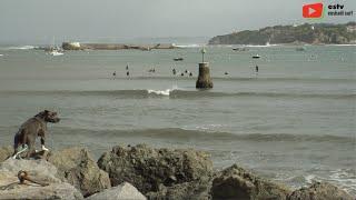 SURFING SOCOA  | ‍️  Longboard dans la Baie - ESTV Euskadi Surf TV