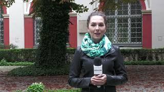 Tajemniczy ogród - dziedziniec Ossolineum