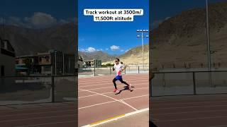 Brutal trackworkout at 11,500ft altitude #lehladakh #himalayas  #running #training #marathon #shorts