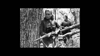 Избранное. Анна Дмитриева. Выпуск 05.05.21