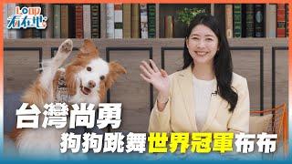 《LO叩看在地》台灣尚勇：狗狗跳舞世界冠軍布布