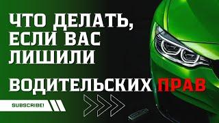 Лишили водительских прав: что делать?