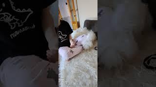 Бонькины развлечения