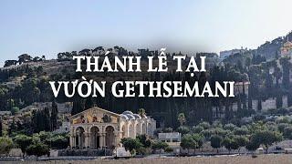 Thánh Lễ Tại Vườn Gethsemani.