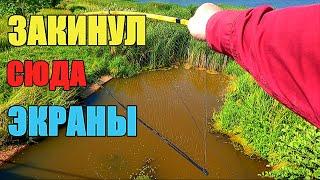 РЫБАЛКА НА ЭКРАНЫ НА ВОДОСБРОСЕ. Ловим рыбу на уху.