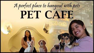 Pet Cafe Hyderabad | Purrfect Place For All The Pet Lovers With Pawsitive Vibes