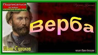 Верба, Иван Суриков, Русская Поэзия , читает Павел Беседин