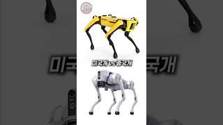 현재 구매 가능한 로봇개 2종