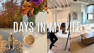 VLOG: furniture delivery, getting back into routine, cleaning, etc.