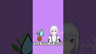 아이네 TMI 10가지 2