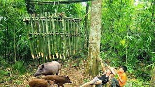 Giant Wild Boar Trap - Build a large bamboo trap cage wait for your prey. part 2