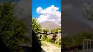 beauty beyond borders  #flowers #blossom  #Valley  #ilovetrees #treelove #oldtree #green #sky