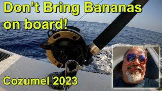 Best of Cozumel 2023 - Diving & Fishing Adventure