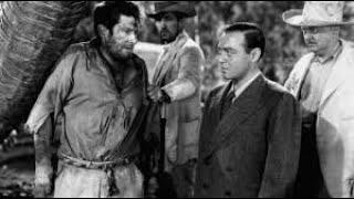 Island of Doomed Men 1940 - Full Movie, Peter Lorre, Rochelle Hudson, Robert Wilcox, Crime, Thriller