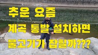 날씨가 추운데 계곡통발 설치하면 물고기가 잡힐까요??? 그런데 물고기보다 더 많은 것이 있습니다