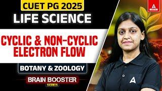 Non Cyclic and Cyclic Electron Flow | CUET PG Life Science, Botany and Zoology 2025