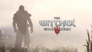 The Witcher 3: Wild Hunt "Zireael" [HD]