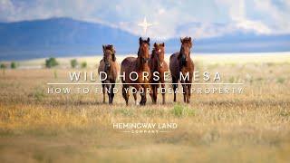 COLORADO LAND FOR SALE: Wild Horse Mesa Subdivision - How To Find Your Ideal Property