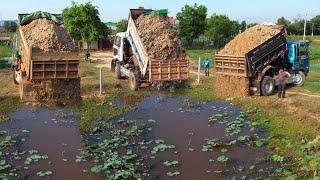 Start incredible new PROJECT! Power machinery, dump trucks & dozer fill-up dirt on deeply POND