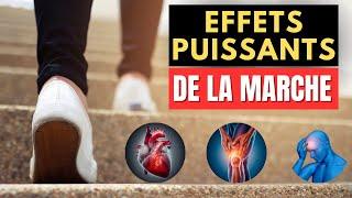 9 EFFETS PUISSANTS de la marche sur votre santé