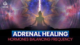 1335 Hz Frequency: Music for Hormonal Balance and Adrenal Healing