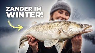 Winter-Zander im Fluss! Angeln bei -1 Grad 