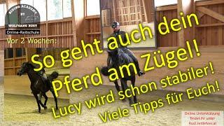 F85 Problem-Pferde rund reiten lernen. So kannst Du dein Pferd Stellen, Biegen und am Zügel reiten.