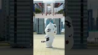 함께해요 국민건강체조 with 백호돌이! - 발차기