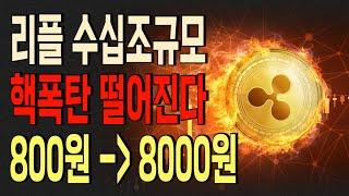 [리플 전망]수십조규모 핵폭탄 떨어진다 100만원으로 집 한 채 살겁니다